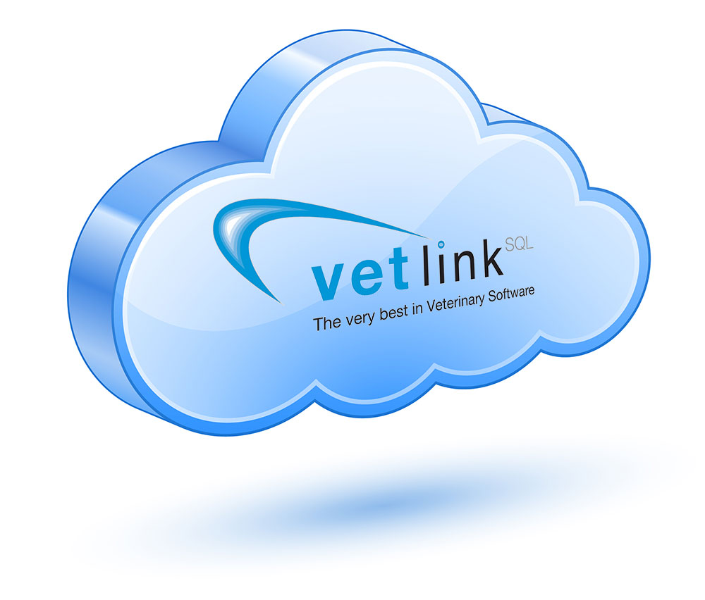 VETLINKSQL as a Cloud Service