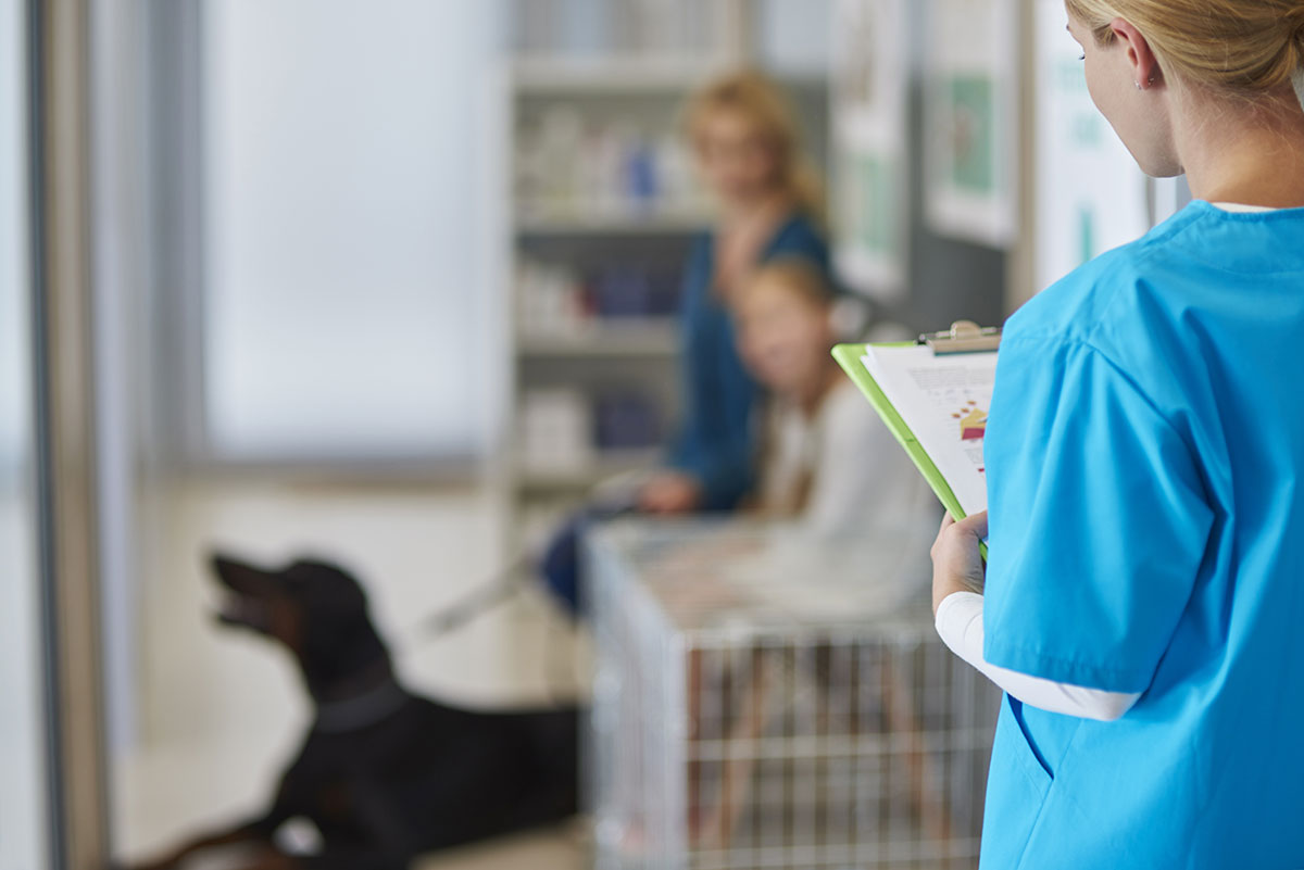 How to Order Stock Efficiently for Veterinary Clinics